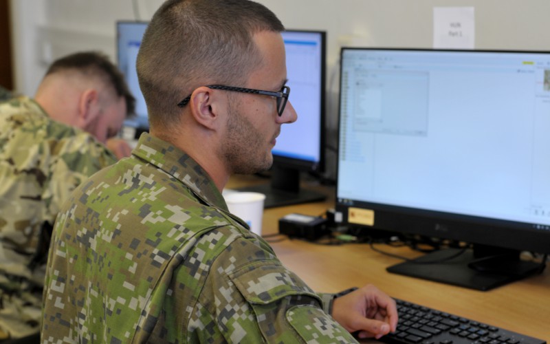 BLONDE AVALANCHE 2025