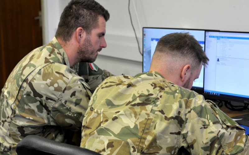 BLONDE AVALANCHE 2025