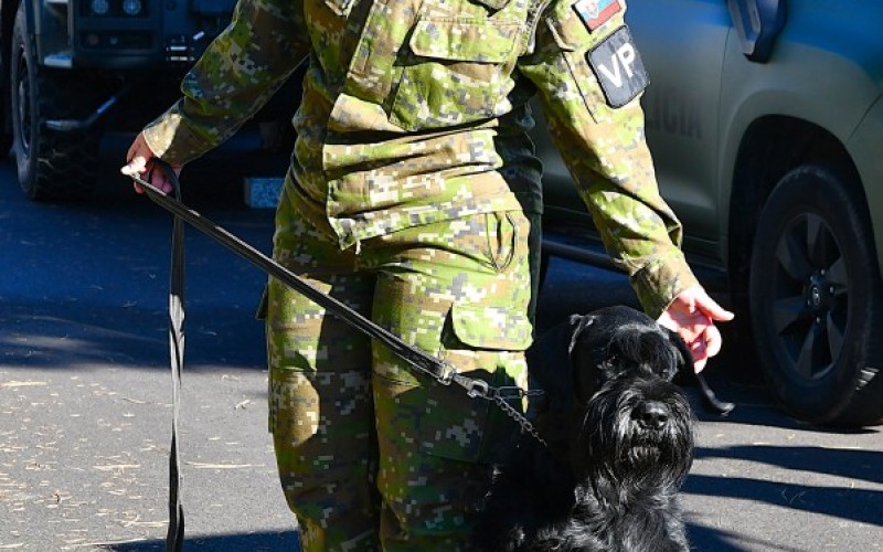 Deň otvorených dverí prilákal rekordný počet záujemcov