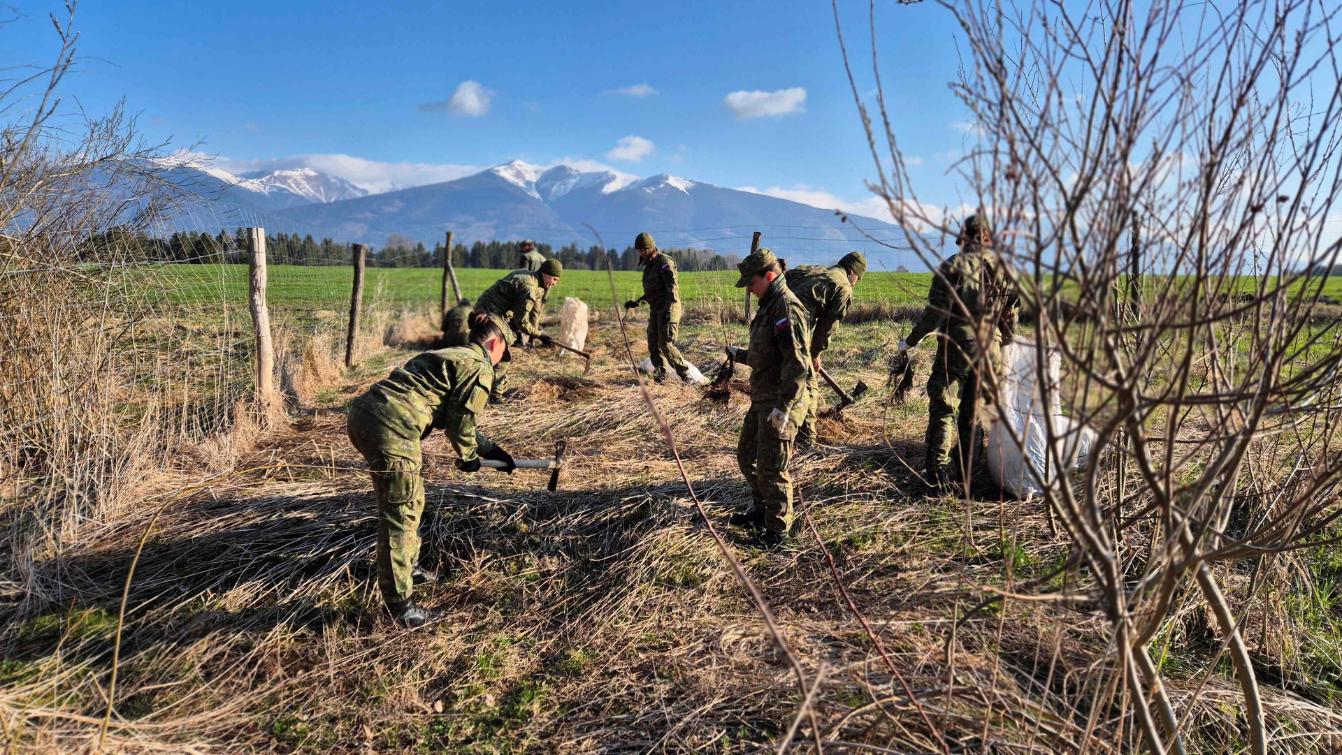 Kadeti pomáhali pri sadení stromčekov v Jamníku