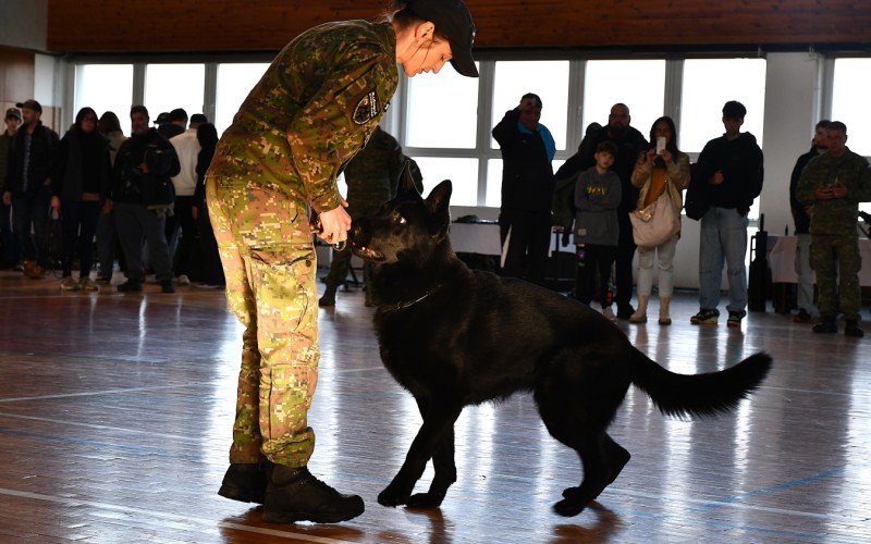 Open Door Day, November 7th 2025