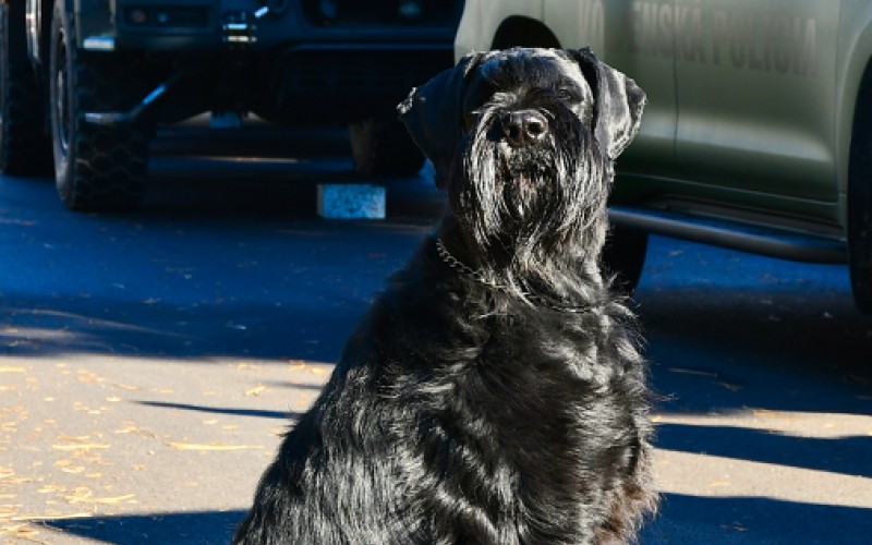 Open Door Day, November 7th 2025