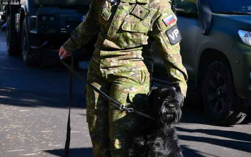 Open Door Day, November 7th 2025