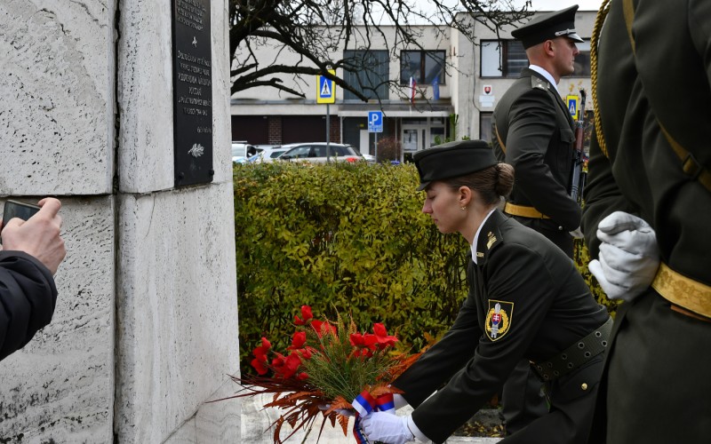 Medzinárodný deň vojnových veteránov 11. 11. 2025