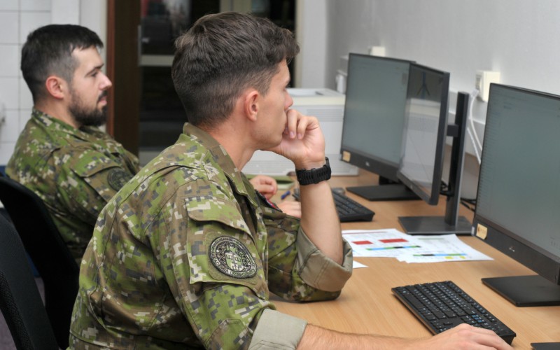 BLONDE AVALANCHE 2025