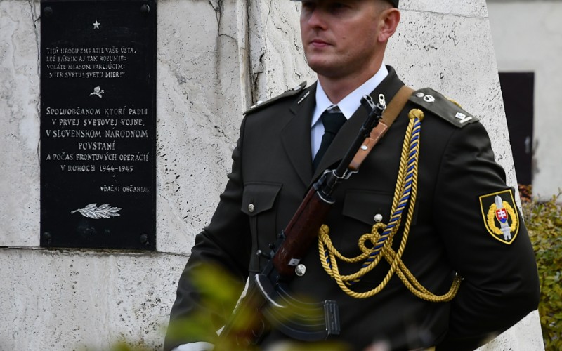 International War Veterans Day, November 11th 2025