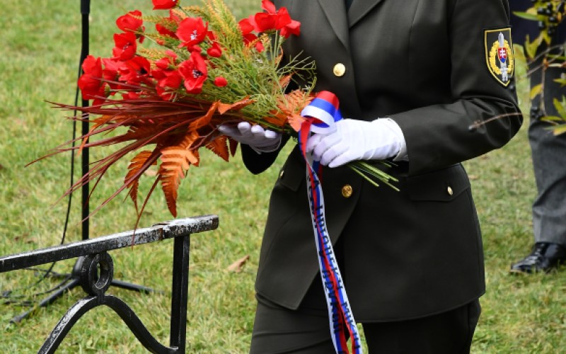 International War Veterans Day, November 11th 2025