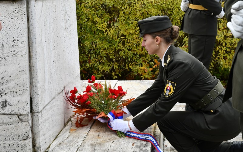 International War Veterans Day, November 11th 2025