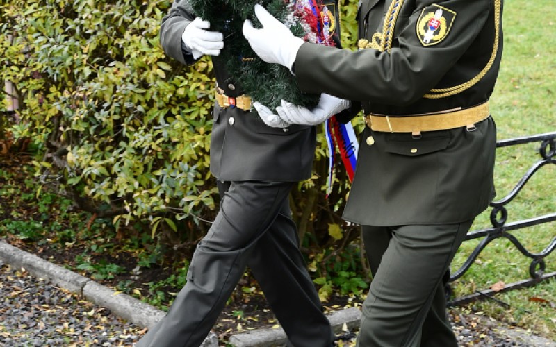 International War Veterans Day, November 11th 2025