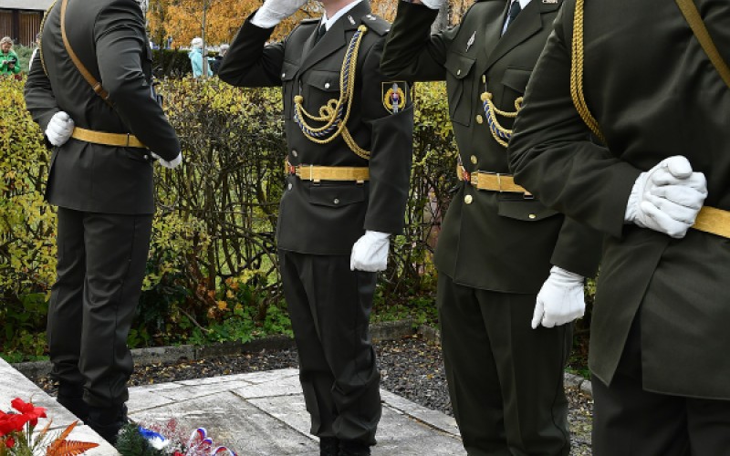 International War Veterans Day, November 11th 2025