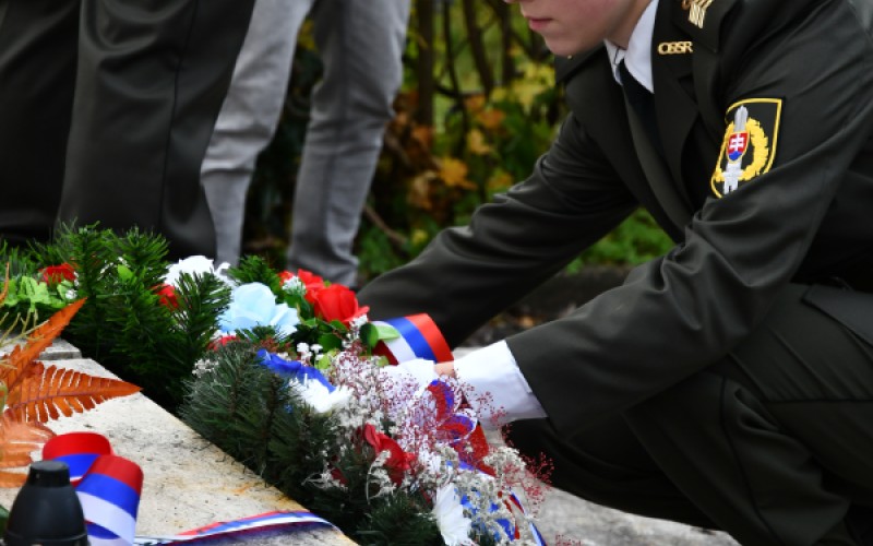 International War Veterans Day, November 11th 2025