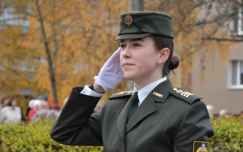 International War Veterans Day, November 11th 2025