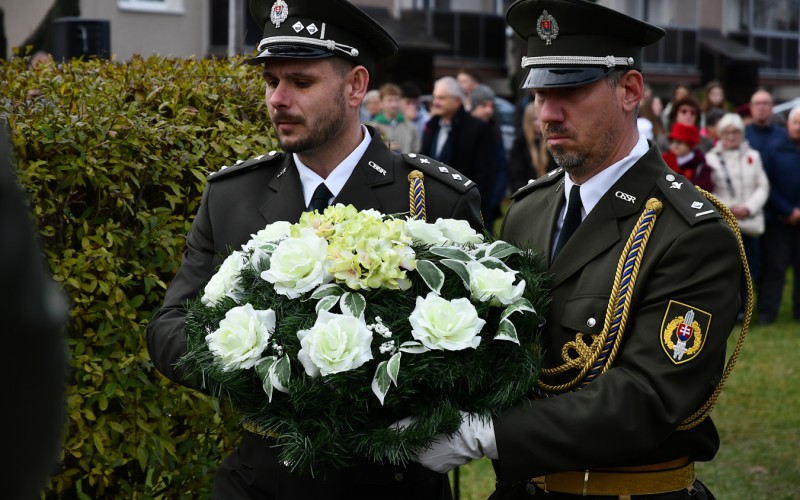 International War Veterans Day, November 11th 2025