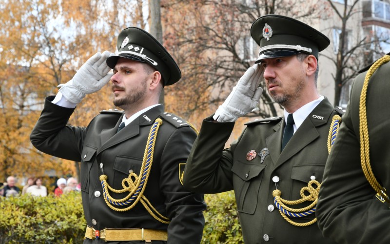 International War Veterans Day, November 11th 2025