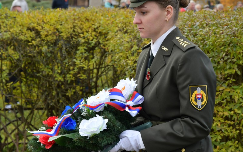 International War Veterans Day, November 11th 2025