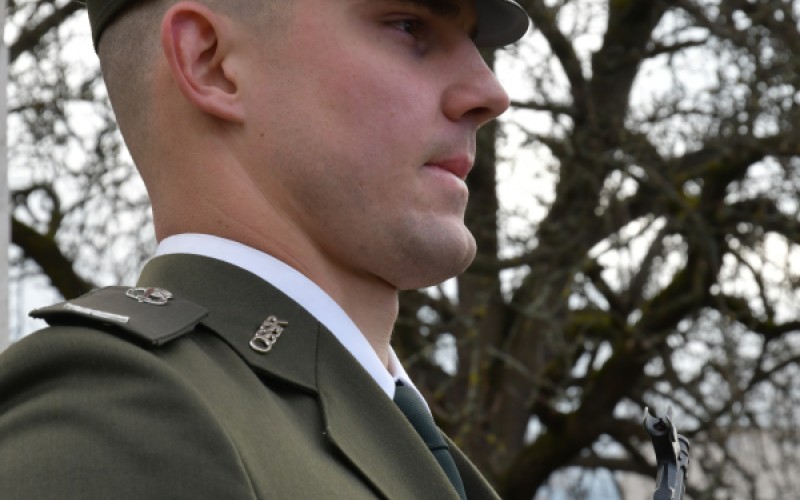 International War Veterans Day, November 11th 2025