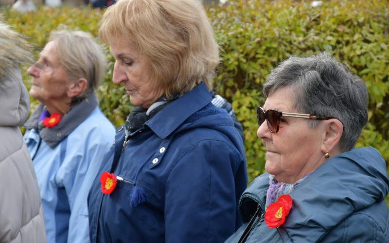 International War Veterans Day, November 11th 2025