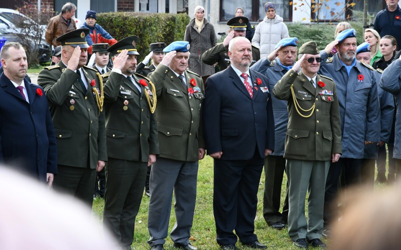 International War Veterans Day, November 11th 2025