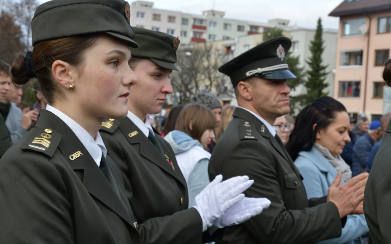 International War Veterans Day, November 11th 2025