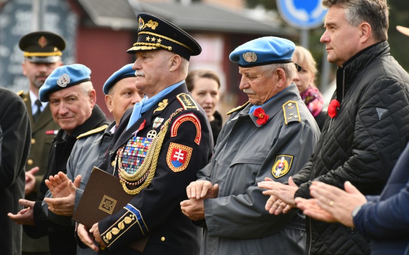 International War Veterans Day, November 11th 2025