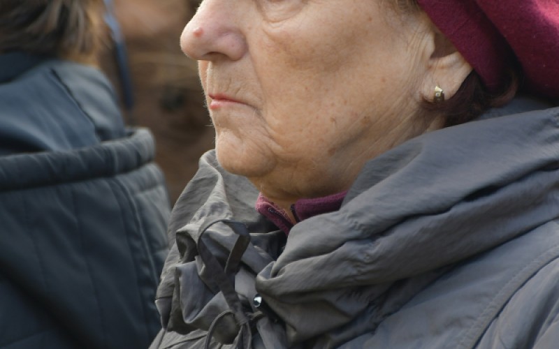 International War Veterans Day, November 11th 2025