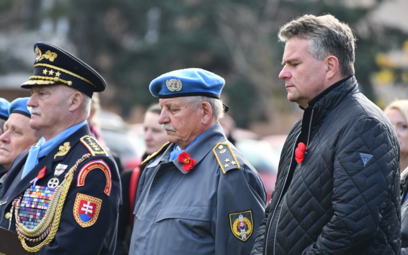 International War Veterans Day, November 11th 2025