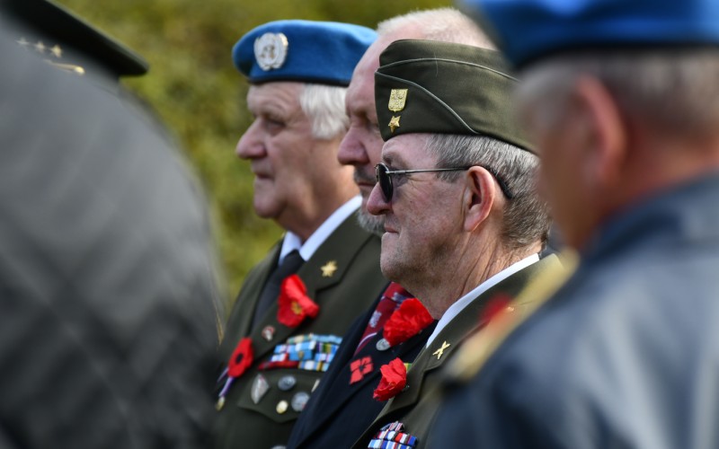 International War Veterans Day, November 11th 2025