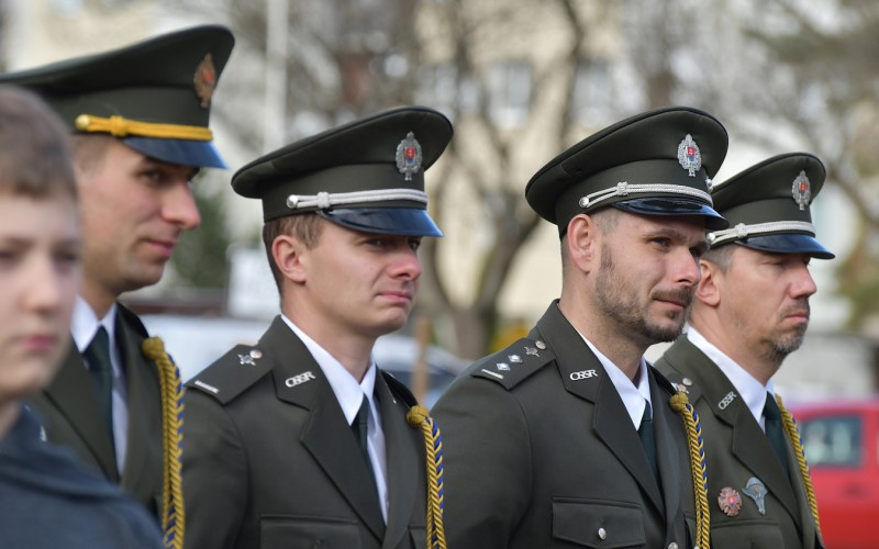 International War Veterans Day, November 11th 2025