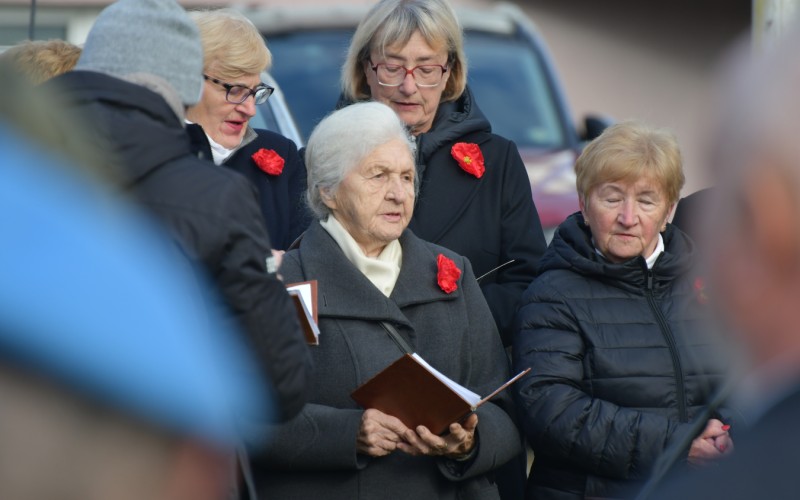 International War Veterans Day, November 11th 2025