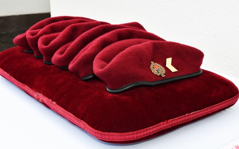 Slávnostný nástup pri príležitosti odovzdania bordových baretiek, 16.03.2026